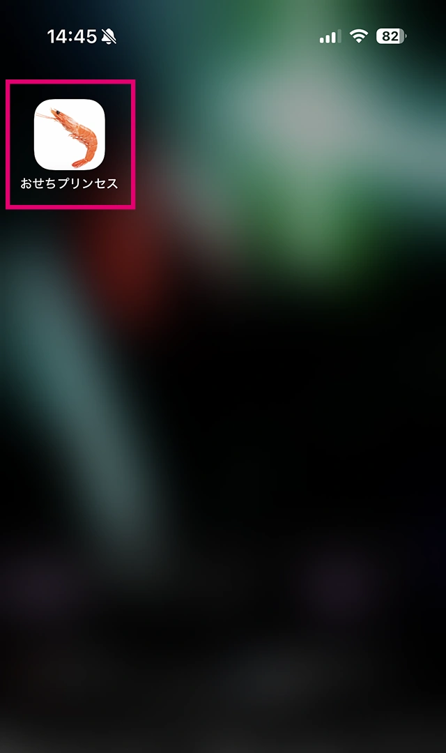 手順05「ホーム画面のアイコンから開く」の画面
